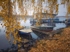 motorboat, lake, branch pics, birch-tree, autumn, Harbour