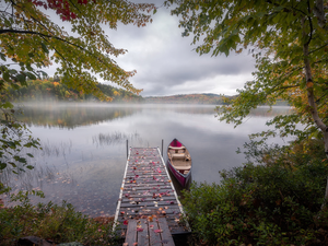 trees, The Hills, Platform, Fog, lake, viewes, Kayak