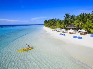 sea, Palms, Kayak, Beaches