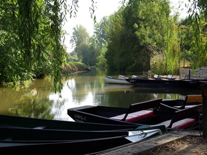 River, trees, viewes, Kayaks