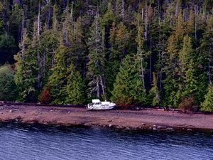 forest, lake, Motor boat, coast