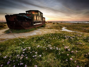 Meadow, wreck, boat