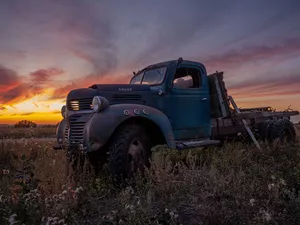 Meadow, wreck, lorry