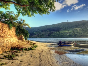 Motor boat, River, viewes, Backwater, woods, trees, Mountains