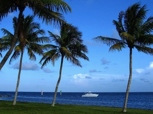 Motor boat, sea, Palms