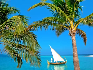 Palms, Boat, sea