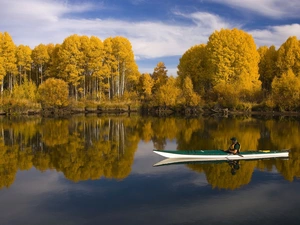 birch, reflection, lake, Kayak, autumn