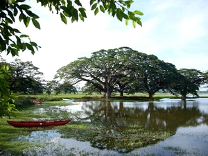 Kayaks, reflection, trees, viewes, lake