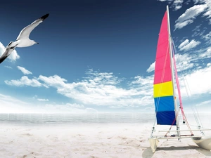 Beaches, Catamaran, summer, seagull