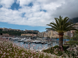 Yachts, Hotels, Harbour